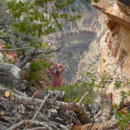 North Rim of Grand Canyon