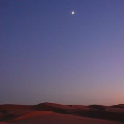 Imperial Dunes, Glamis, CA